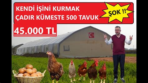 satılık etlik tavuk çiftliği